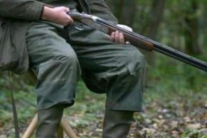 Pădurarii vor fi înarmaţi – Iohannis a promulgat legea