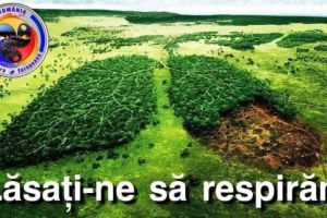 LIVE VIDEO: Acţiune civică la Sebeş: Protestul „Lăsaţi-ne să respirăm”, împotriva defrişărilor ilegale, în faţa unei firme de cherestea