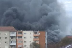 Incendiu puternic la o casă pe strada Lămâiţei din Timişoara