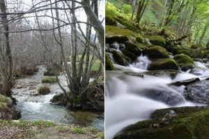 Soarta unui râu depinde de Curtea de Apel Alba Iulia