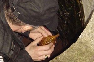 Grenada descoperită la Satu Mare este din cel de-al Doilea Război Mondial