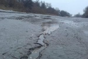 Epilog la dezastrul de pe Mureş: pace între pescari şi ABA Mureş!