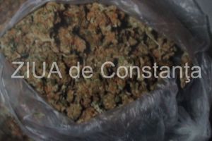 Premiera pentru Constanta: Cantitate uriasa de droguri, distruse de Politia Romana in Lumina