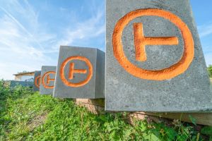 ”Via Transilvanica”, promovată în şcoli din trei judeţe. Drumul este în primul rând al lor