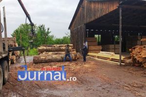 Nereguli găsite de poliţişti la depozite de lemne din Faraoanele şi Mera