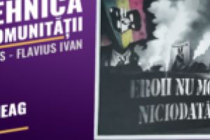 Un tablou pentru un destin mai bun! Licitaţie pentru un bebeluş bolnav, organizată de ASU Poli