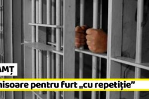 NEAMȚ: Bărbat de 62 de ani, condamnat la 1 an şi 8 luni de închisoare pentru furt „cu repetiţie”