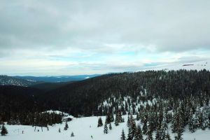 Cod galben de viscol şi ninsori în judeţul Sibiu – Ninge până vineri