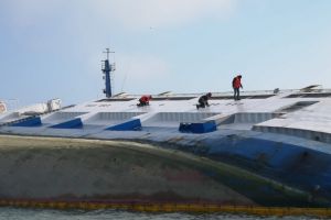 CN APM Constanta se ocupa de nava esuata in Portul Midia. Cand ar urma sa fie scoase cadavrele oilor