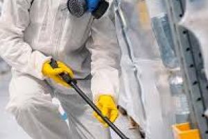 Nereguli găsite la mai multe firme de deratizare; una a rămas fără autorizaţie de funcţionare