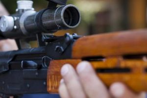 Câine împuşcat de un vânător, în timp ce era plimbat de stăpână, într-o pădure, lângă Timişoara