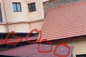 Elevi gojdişti, acuzaţi că aruncă perii de toalete în curţile vecinilor (FOTO)