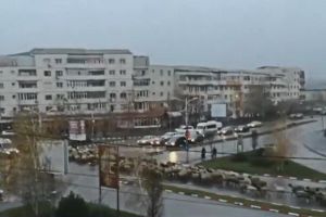 O turmă de oi a blocat circulaţia în centrul oraşului Alexandria (VIDEO)