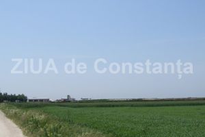 Top 2019 oameni de afaceri constanteni care au investit in agricultura 