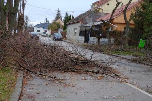 FOTO. Drum blocat în Micro 17. Crengi abandonate în mijlocul străzii