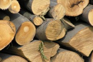 Material lemnos confiscat de poliţişti la Voşlăbeni şi Cristuru Secuiesc