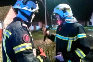 Orice suflet contează! Gestul INCREDIBIL al pompierilor arădeni (FOTO)