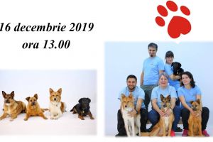 Vrei să cunoşti nişte căţei supereroi? Vino la Biblioteca Judeţeană!