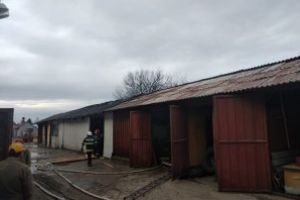 Incendiu la o hala de prelucare a lemnului din Baia Mare (FOTO)