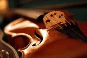 Romania este cel mai mare exportator de viori din Uniunea Europeana