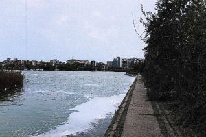 PUZ pentru zona din cartierul Palazu Mare adiacenta lacului Siutghiol. Ce urmareste investitorul (document) 