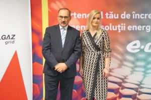Ceasul bilanţului: Delgaz Grid, investiţii de peste  90 milioane euro, în acest an