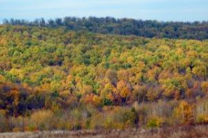 Meteo: Ploi anuntate pentru astazi, in Maramures. Temperaturi de 0 grade C la Cavnic si Tg Lapus