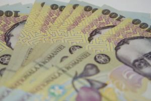 Judecatorii CCR, alesii locali si parlamentarii vor putea sa cumuleze in continuare pensia cu salariul de la stat – Ministerul Muncii