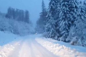 VIDEO: Peisaje de basm într-o staţiune montană din apropierea judeţului Alba. Zăpada măsoară 30 de centimetri