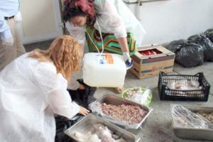 Mii de tone de carne au ajuns la gunoi