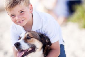 Sunt, cu adevărat, cei mai buni prieteni ai omului! Conform unui studiu, câinii pot înţelege cuvinte şi distinge vocile oamenilor