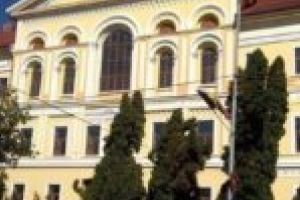 Abandonate! Adevărate „minuni ale Lugojului” aşteaptă salvatorii!