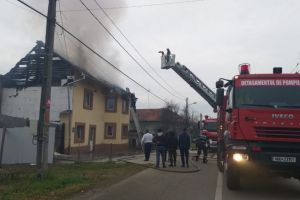 Incendiu puternic într-o localitate din Timiş. Pompierii au salvat mai multe animale