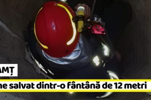 NEAMȚ: Câine salvat de pompieri după ce a căzut într-o fântână (FOTO)