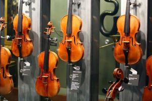 România este cel mai mare exportator de viori din Uniunea Europeană, conform Eurostat. Câte viori s-au vândut