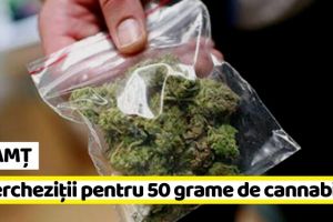 NEAMȚ: Flagrant şi 5 percheziţii pentru 50 grame de cannabis
