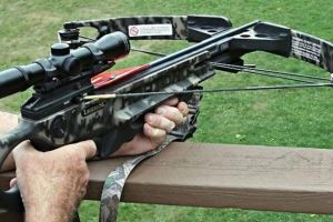 Caz tulburător: La hăituit de… patrupede. Un bărbat a vânat câini cu arbaleta