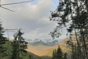 Mijloc de decembrie cu trei anotimpuri. Cum va fi vremea în zilele viitoare