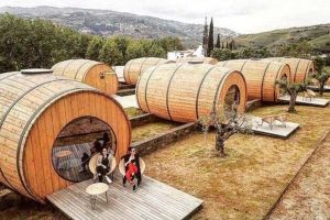 FOTO. Agroturism de excepţie: Un tânăr oferă cazare în butoaie, lângă plantaţia sa de mure