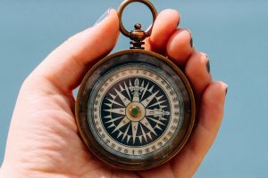 Carta Valorilor USR. Care sunt valorile în jurul cărora se coagulează Uniunea