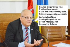 Delorean, pe tobogan: Subprefectul pus în funcţie de UDMR Bihor va fi schimbat