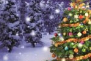 Încărcat cu daruri, Moş Crăciun e pregătit să ajungă la elevii comunei Pojejena