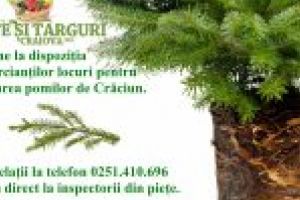 SC Pieţe şi Târguri Craiova SRL pune la dispoziţia comercianţilor locuri pentru vânzarea pomilor de Crăciun