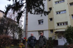 Molidul de pe strada Lăcrimioarelor, apărat şi aproape salvat (FOTO)