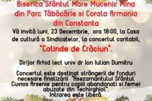  Arhiepiscopia Tomisului. Festival de colinde si concert caritabil de colinde (galerie foto)  