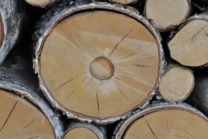 Transportator ilicit de material lemnos depistat de poliţiştii harghiteni, pe raza comunei Plăieşii de Jos