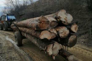 Rezultate obţinute în weekend de către jandarmii harghiteni