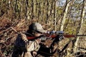 Modificările aduse Legii vânătorii, salutate de reprezentanţii Consiliului Internaţional al Vânătorii şi Conservării Vânatului