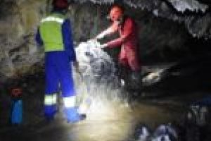 Se reconstruieşte habitatul în 110 peşteri din Caraş-Severin!