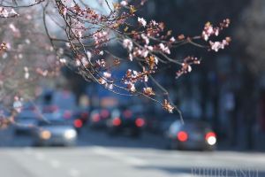 ​În tricou, de Crăciun? Val neobişnuit de căldură în România, cu temperaturi de până la 22 de grade